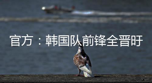 官方他打进12球领跑K联赛