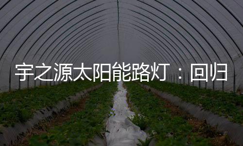 本质使路灯更智能化