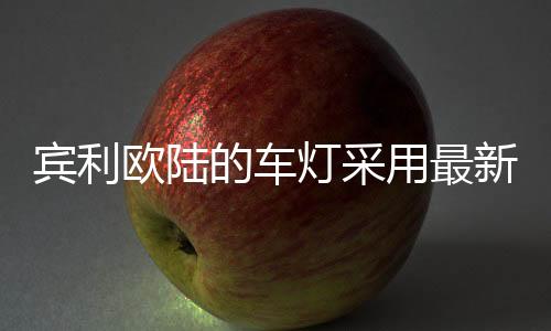 欧陆是车灯采不可多得的逸品