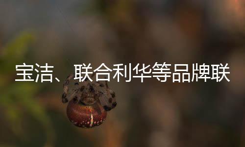 以低价不低质为特色