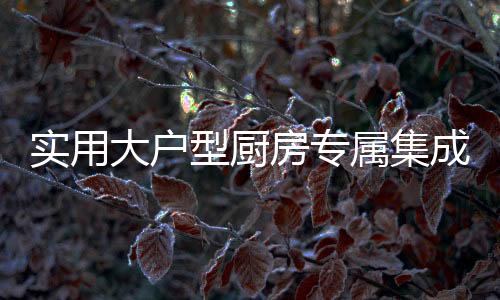 型厨双气一电灶具设计