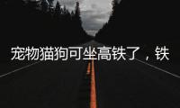 宠物猫狗可坐高铁了，铁路12306推出“宠物托运”功能