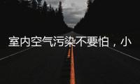 室内空气污染不要怕	，小海鸥贝壳粉还你清新空气!