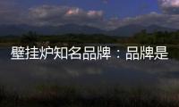 壁挂炉知名品牌：品牌是“亮点” 售后服务树口碑
