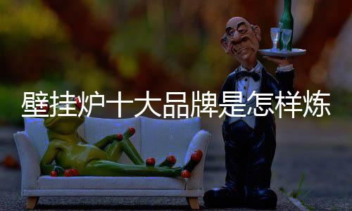 壁挂促销等政策支持