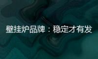 壁挂炉品牌
：稳定才有发展