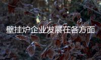 壁挂炉企业发展在各方面投“消费者”所好