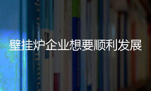 效提壁挂炉市场活动越做越多