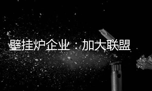 能够加速行业的壁挂优胜劣汰