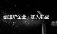 壁挂炉企业：加大联盟 组成异业联盟抱团出击