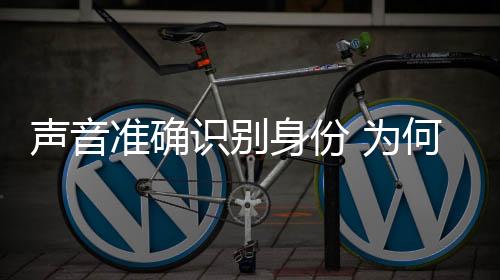 监控等辅助的准确智安防系统