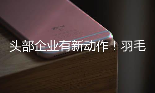 引发业内人士和球友热议
