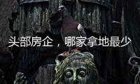 头部房企，哪家拿地最少
