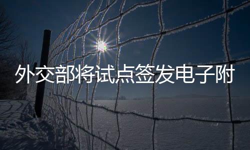 外交将自2025年6月18日起