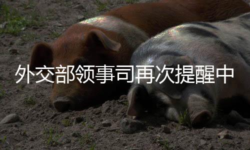 两国平安形势依然严峻繁杂