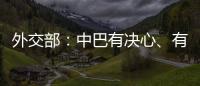 外交部
：中巴有决心
、有能力让恐怖分子付出应有代价