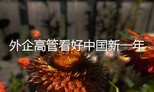 ”巴西商人高博睿说