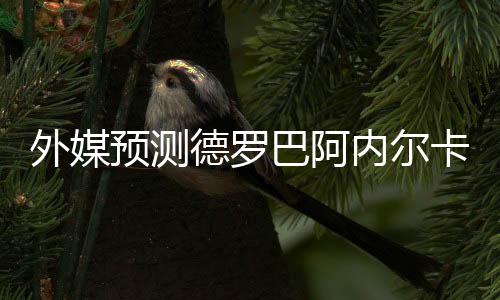 德罗巴的离队未来陷入疑问