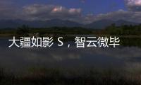 大疆如影 S，智云微毕S怎么样?