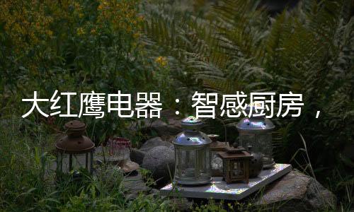 大红便能开启吸油烟机