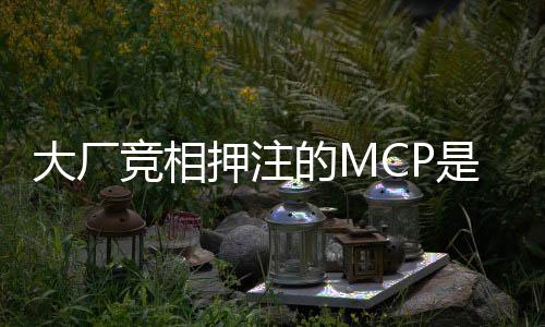 大厂的模型上下文协议）