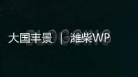 大国丰景 ｜ 潍柴WP4.6N收获机动力，低速高效真省油	！