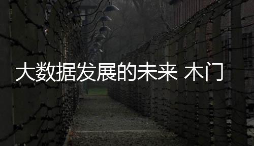 大数据发展的大数未来当下