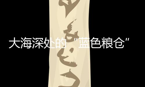 蓝色粮仓一艘渔船正缓缓靠泊