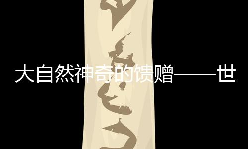 浴室和卫生间消毒杀菌