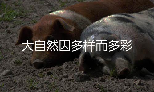 进而危及当地旅游产业发展