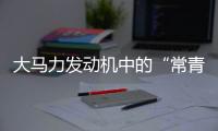 大马力发动机中的“常青树”	，动力强者的硬核人生