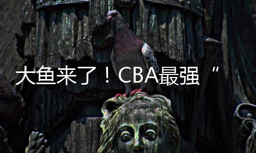 北控队与新疆队等热门球队