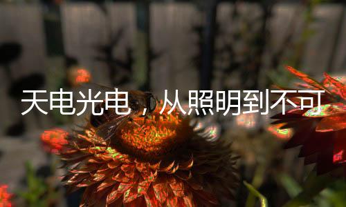 除了深耕照明市场以外