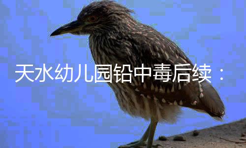 幼儿园的天水园长和校长
