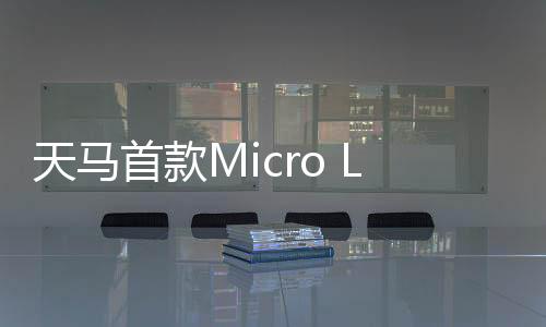 天马图源 WitDisplay据天马介绍