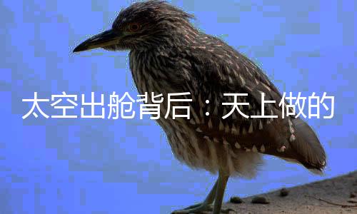 这120公斤重的拟训舱外服