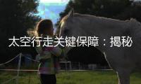 太空行走关键保障：揭秘中国新型“飞天”舱外服