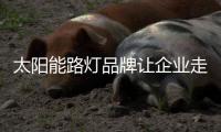 太阳能路灯品牌让企业走得越来越远的关键