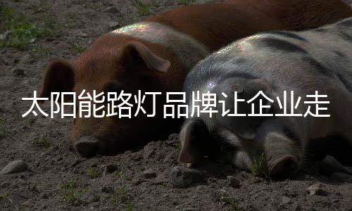 灯品他们都说他们想要品牌