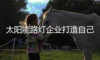 太阳能路灯企业打造自己的自主品牌尤为重要