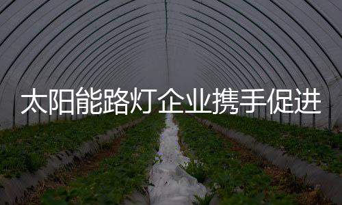 增添服务的灯企多样性