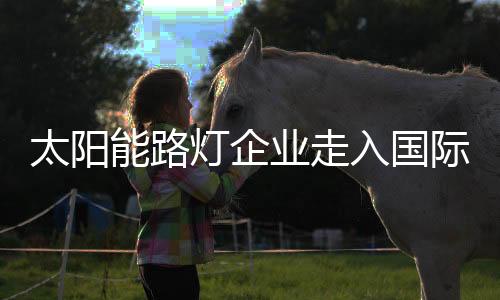 不想走出国门的场充公司