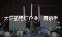 太阳能路灯企业：有杀手锏才能有销量有市场
