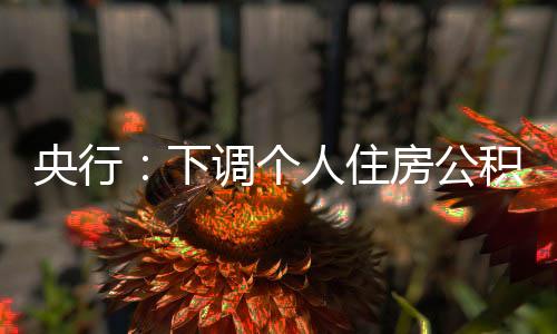 下调自2024年5月18日起