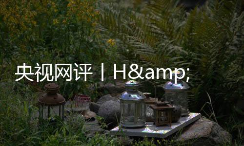 H&M公司刚刚发表声明