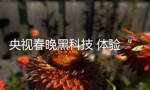 黑科并将首次进行4K影院直播