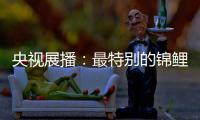 央视展播：最特别的锦鲤——佳得福金门窗
