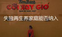 失独再生养家庭能否纳入政策补助？丨两会圆桌