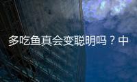多吃鱼真会变聪明吗？中国科学家给出定论丨硬核唠科