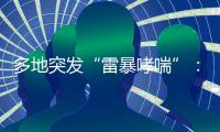 多地突发“雷暴哮喘”�：半小时内发作，蒿属花粉或为元凶